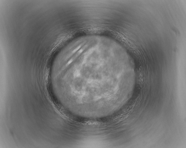 X0000115630742200912011440