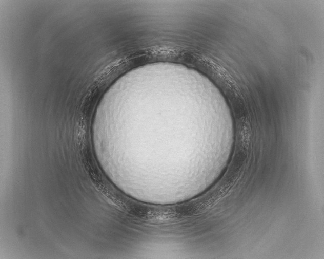 X0000115630745200912011440