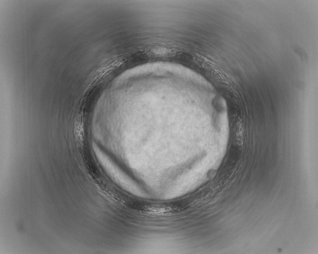 X0000115630746200912011440