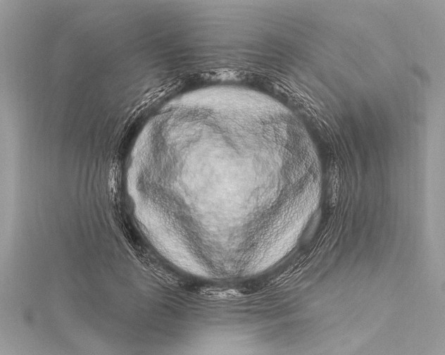 X0000115630747200912011440