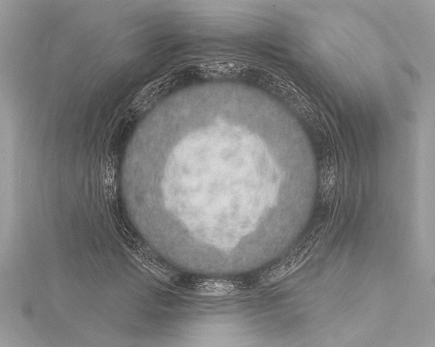 X0000115630749200912011440