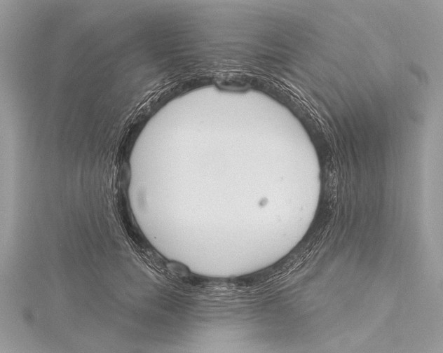 X0000115630750200912011440