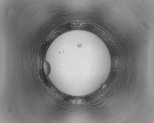 X0000115630751200912011440