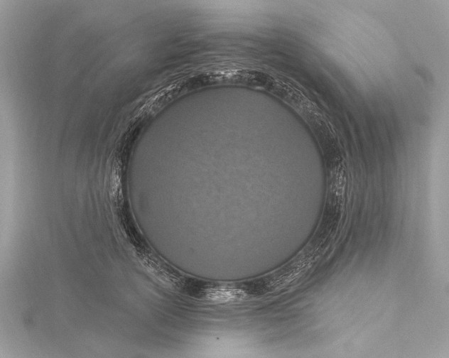 X0000115630754200912011440