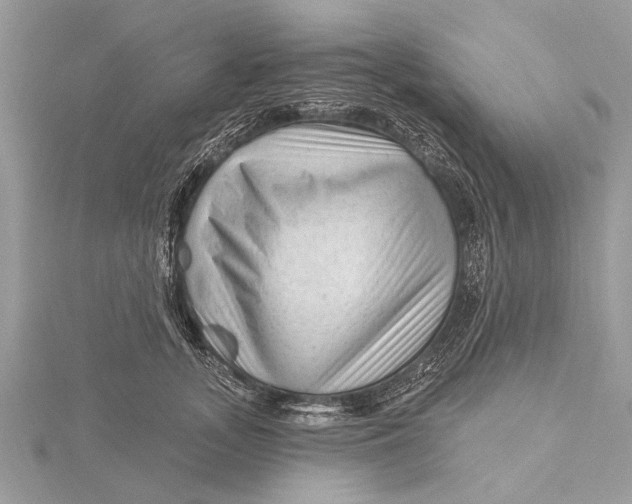 X0000115630755200912011440