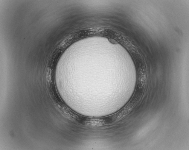 X0000115630758200912011440