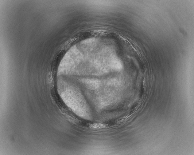 X0000115630759200912011440