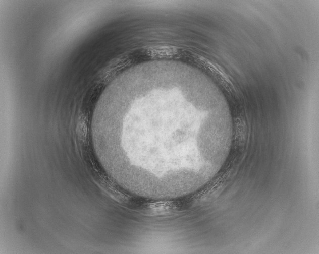 X0000115630761200912011440