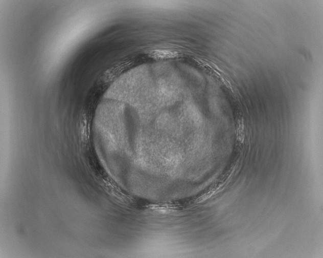 X0000115630763200912011440