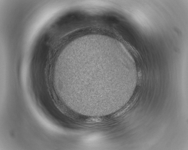 X0000115630765200912011440