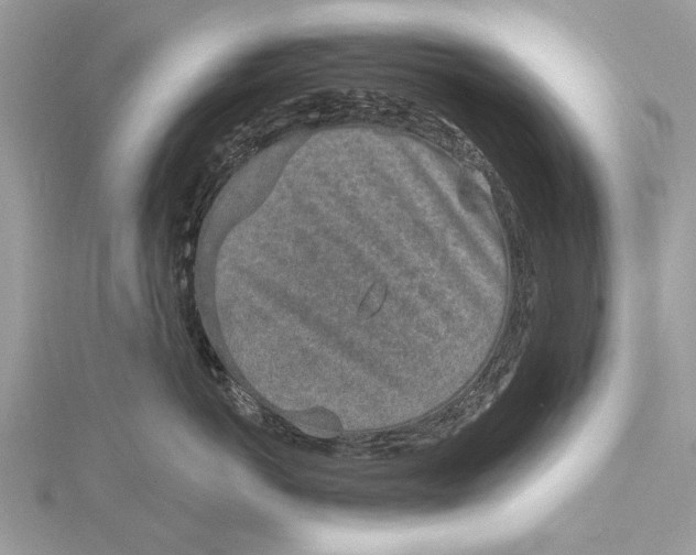 X0000115630766200912011440