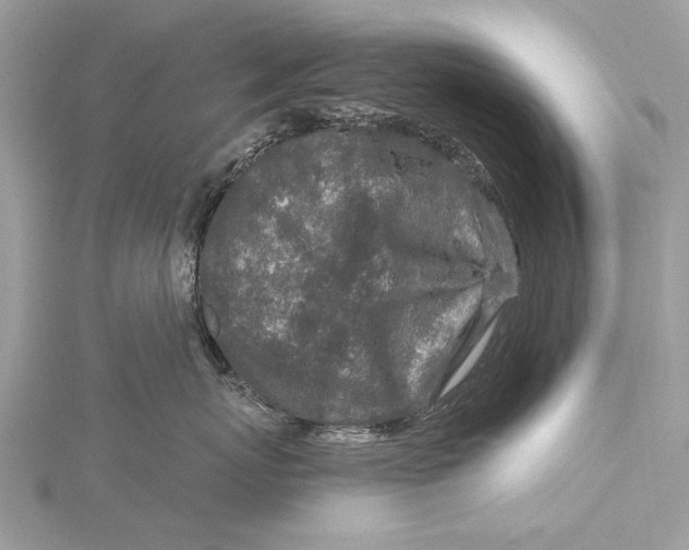 X0000115630767200912011440