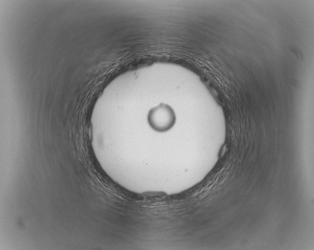 X0000115630769200912011440