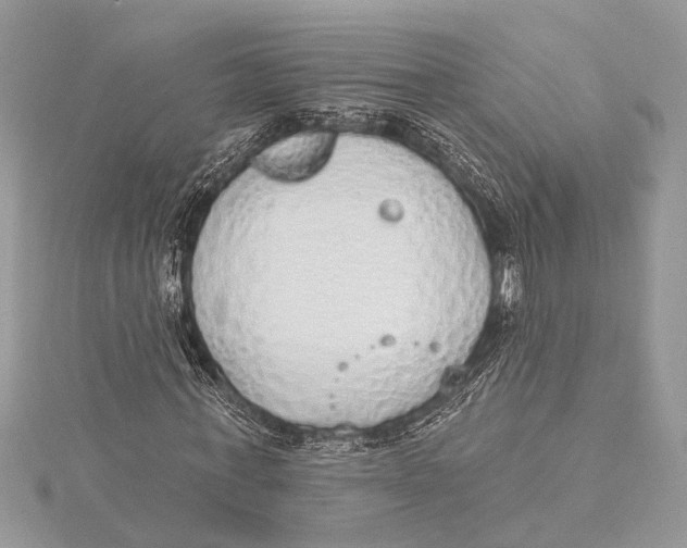 X0000115630771200912011440