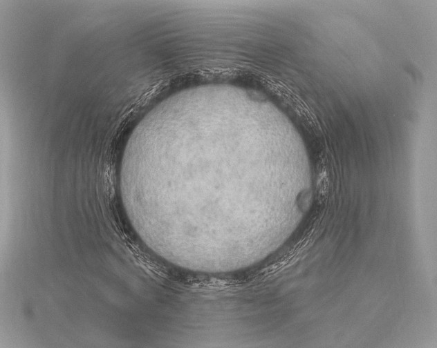 X0000115630772200912011440