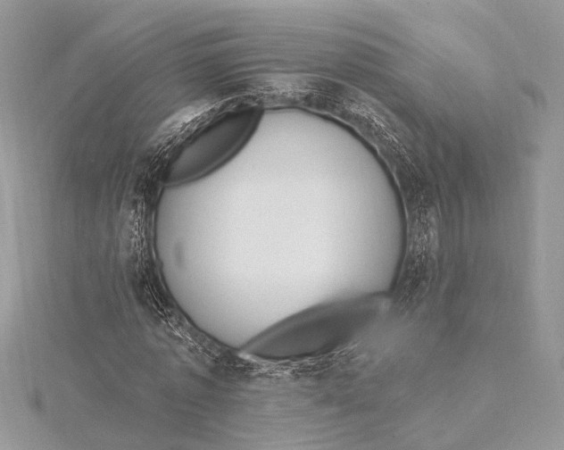 X0000115630773200912011440