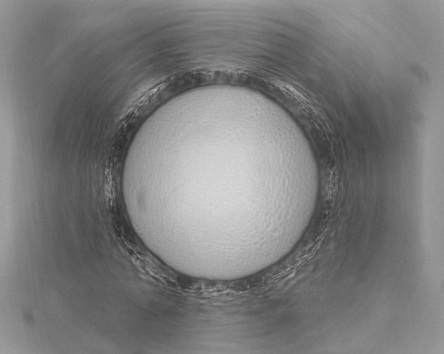 X0000115630774200912011440