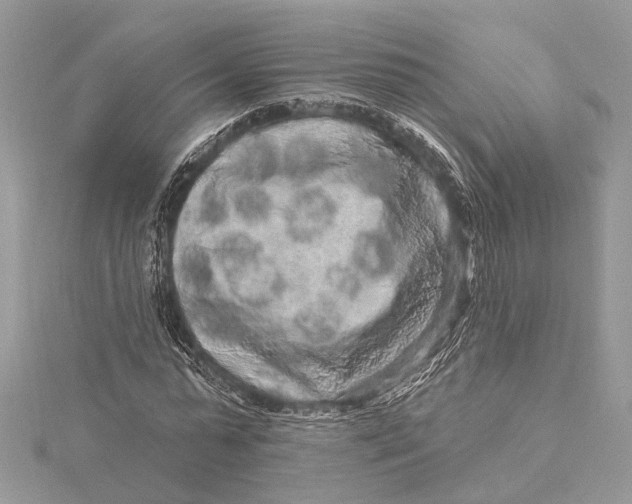 X0000115630775200912011440