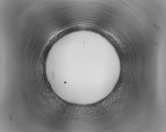 X0000115630776200912011440