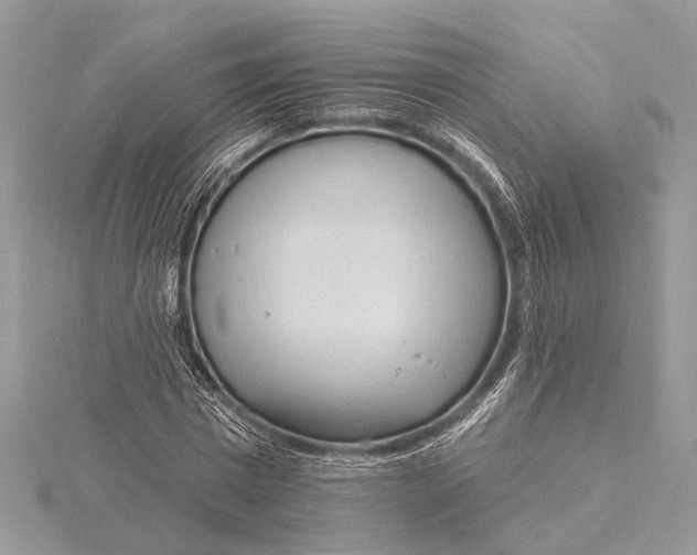 X0000115630777200912011440