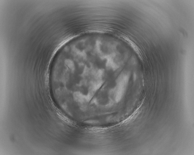 X0000115630779200912011440