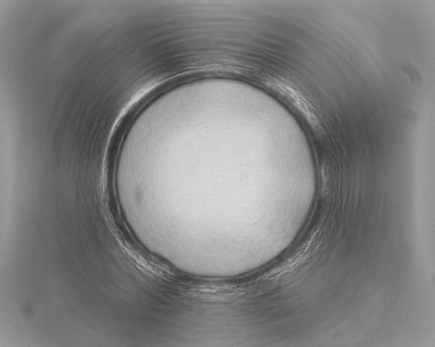 X0000115630780200912011440