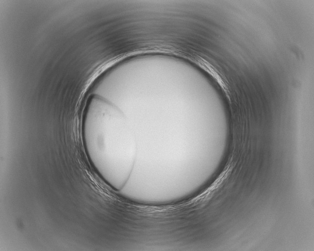 X0000115630781200912011440