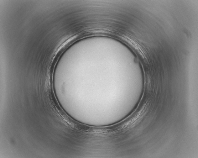 X0000115630782200912011440