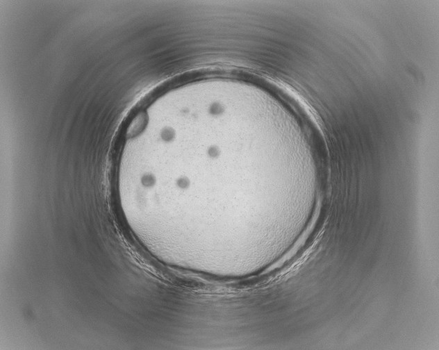 X0000115630783200912011440