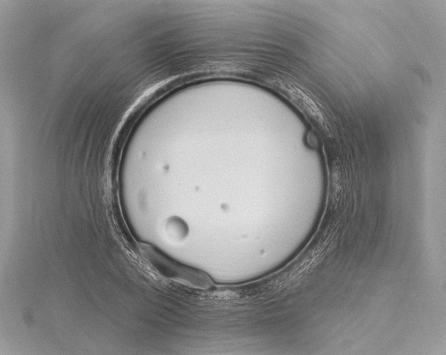 X0000115630784200912011440