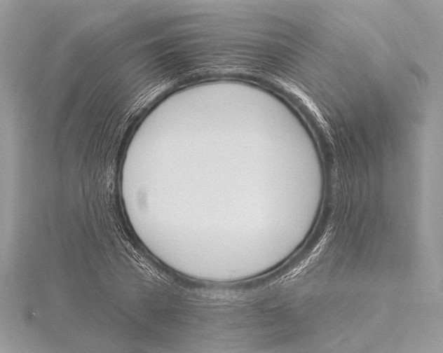 X0000115630785200912011439