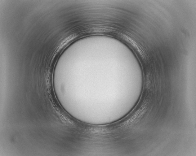 X0000115630786200912011439