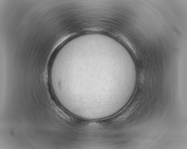 X0000115630787200912011439