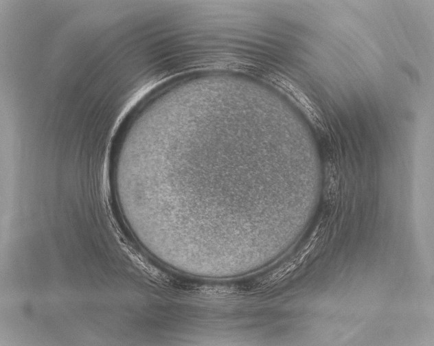 X0000115630788200912011439