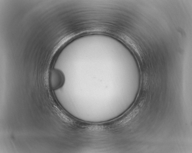 X0000115630789200912011439