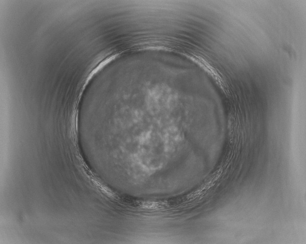 X0000115630790200912011439