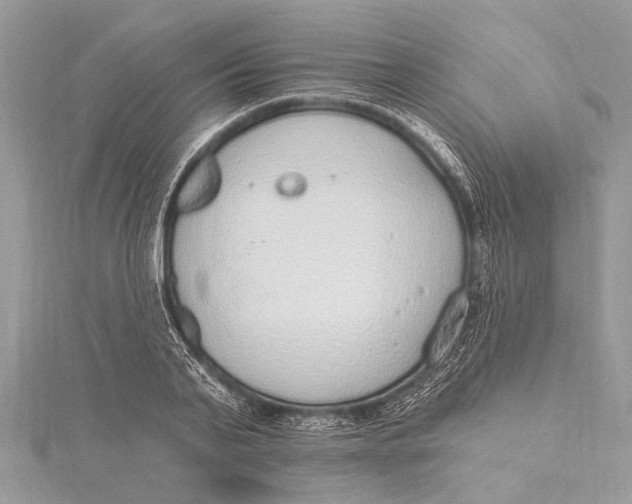 X0000115630791200912011439