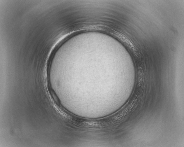 X0000115630792200912011439