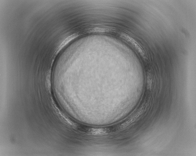 X0000115630794200912011439