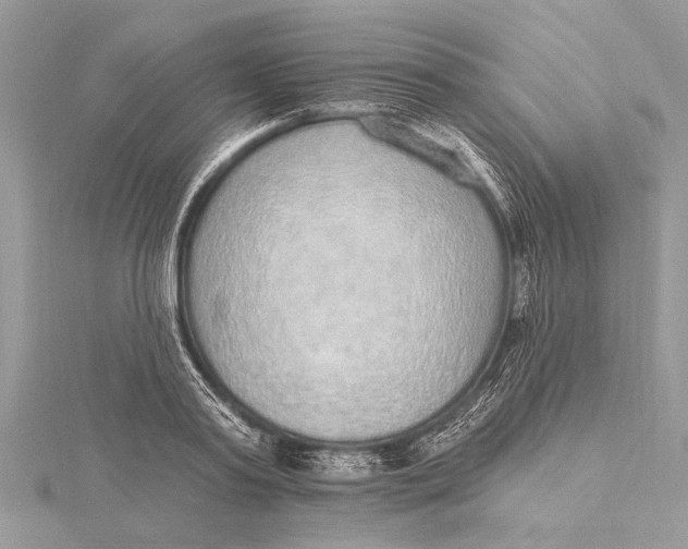 X0000115630795200912011439