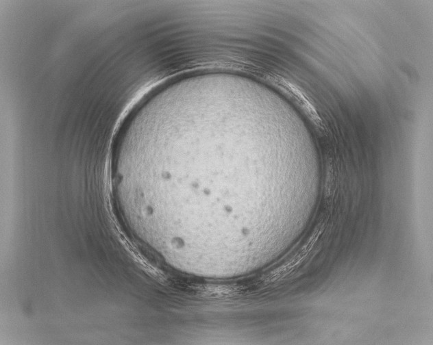 X0000115630796200912011439