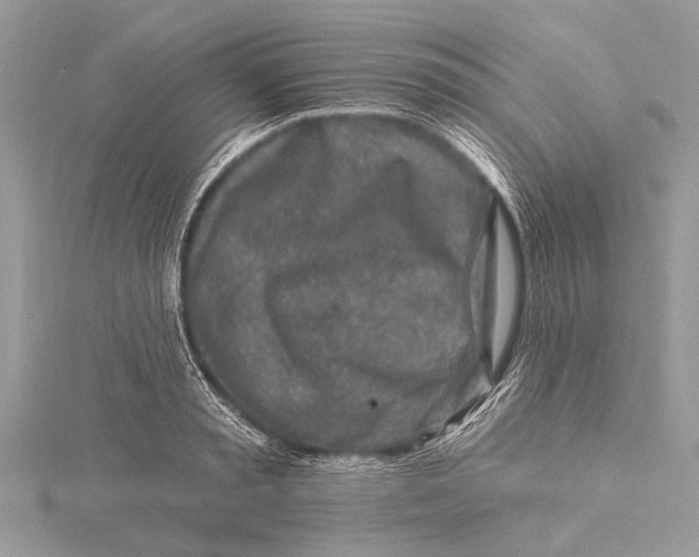 X0000115630797200912011439