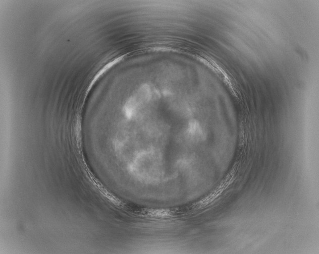 X0000115630798200912011439