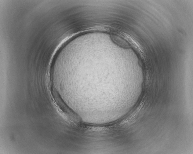 X0000115630800200912011439