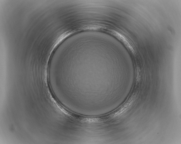 X0000115630802200912011439