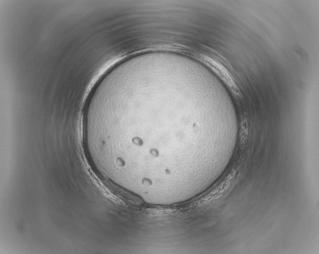 X0000115630804200912011439