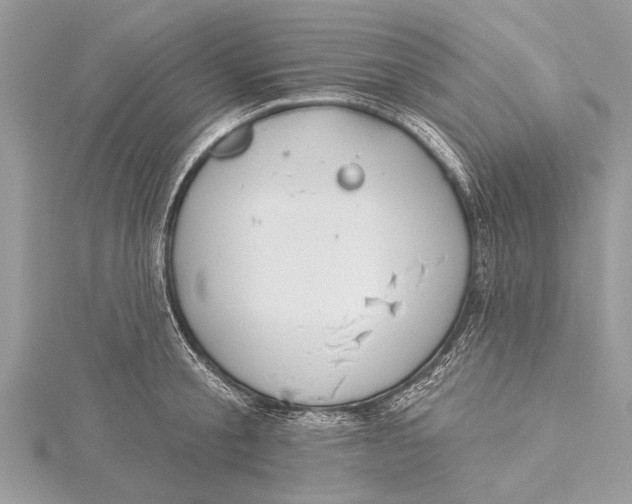 X0000115630805200912011439