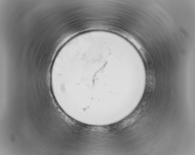 X0000115630807200912011439