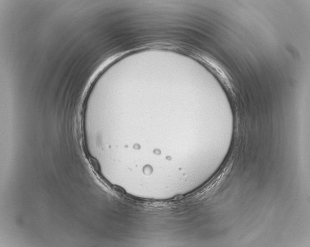 X0000115630808200912011439