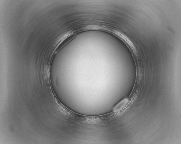 X0000115630809200912011439